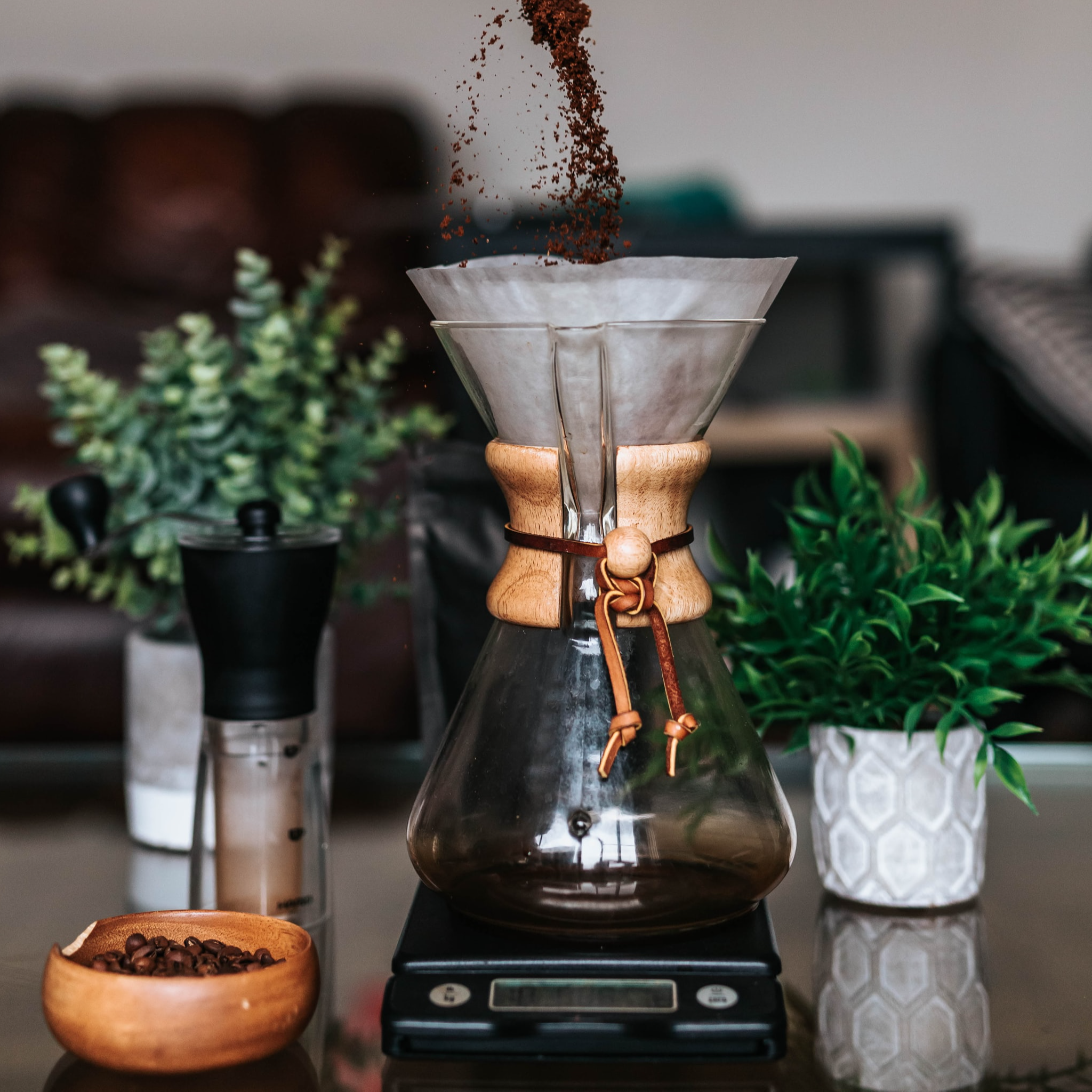 Raising Roots Coffee Co – raising-roots-coffee